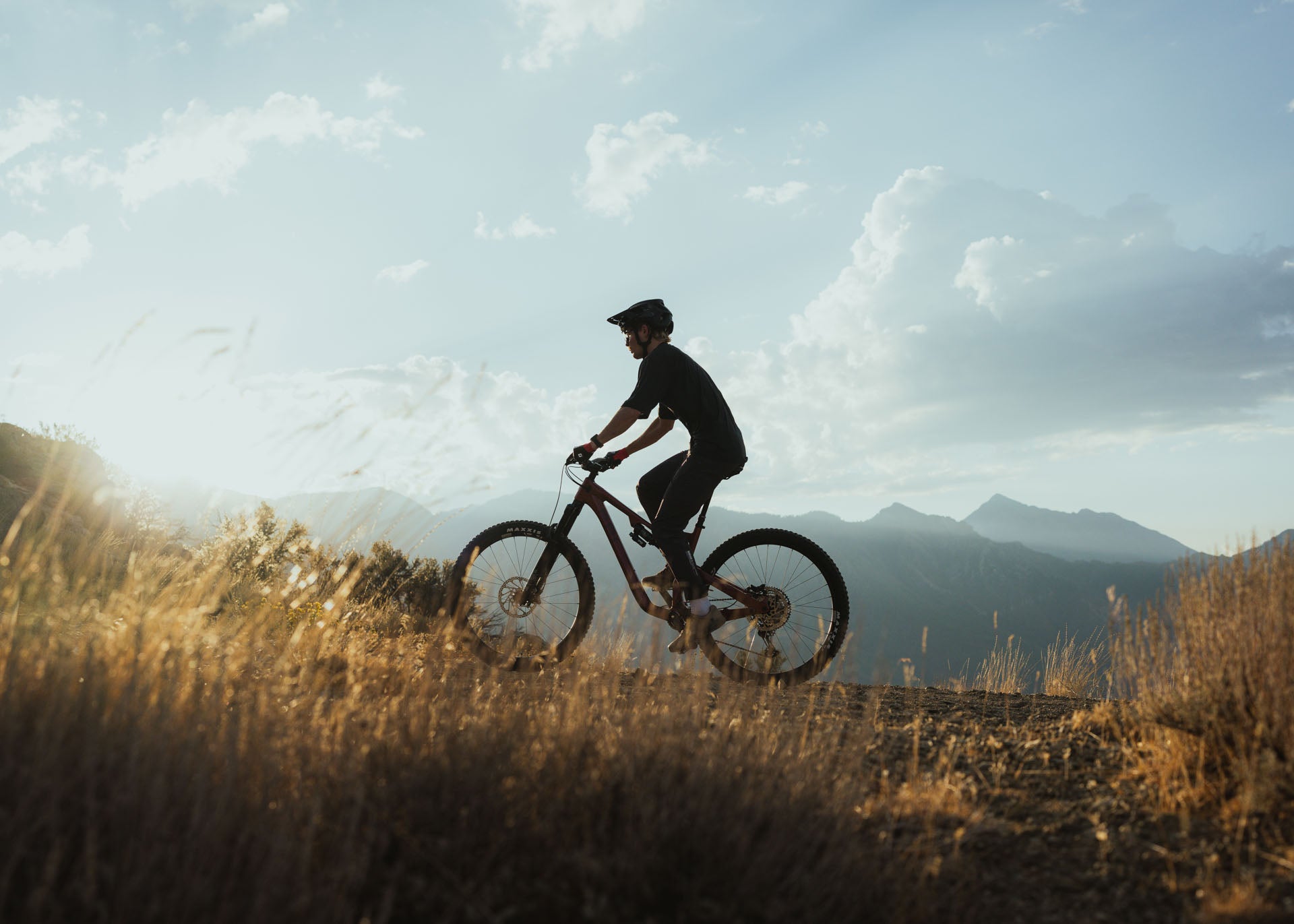 A warranty that lasts a lifetime