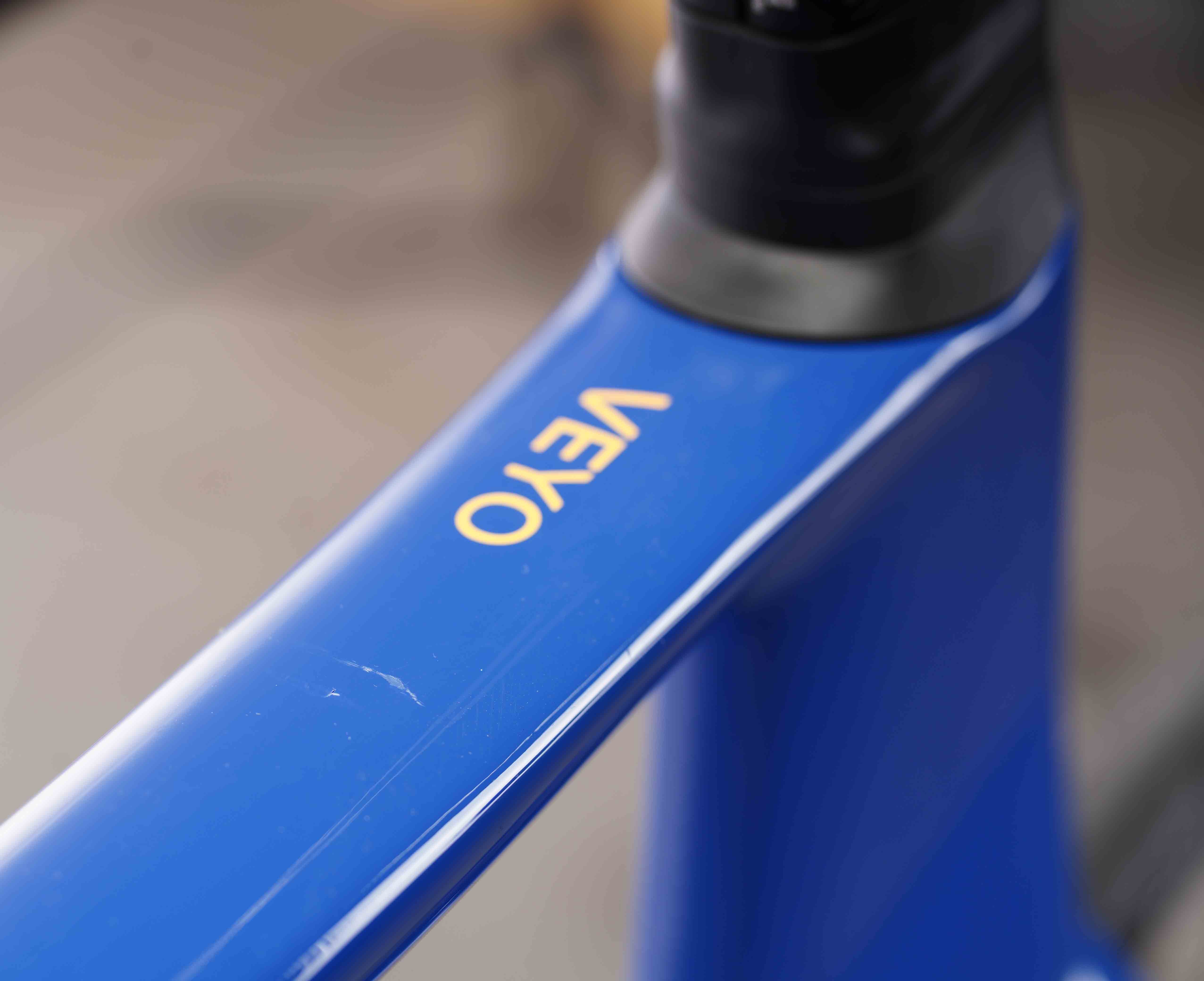 Veyo Pro West Coast Blue (Large) Outlet o1135