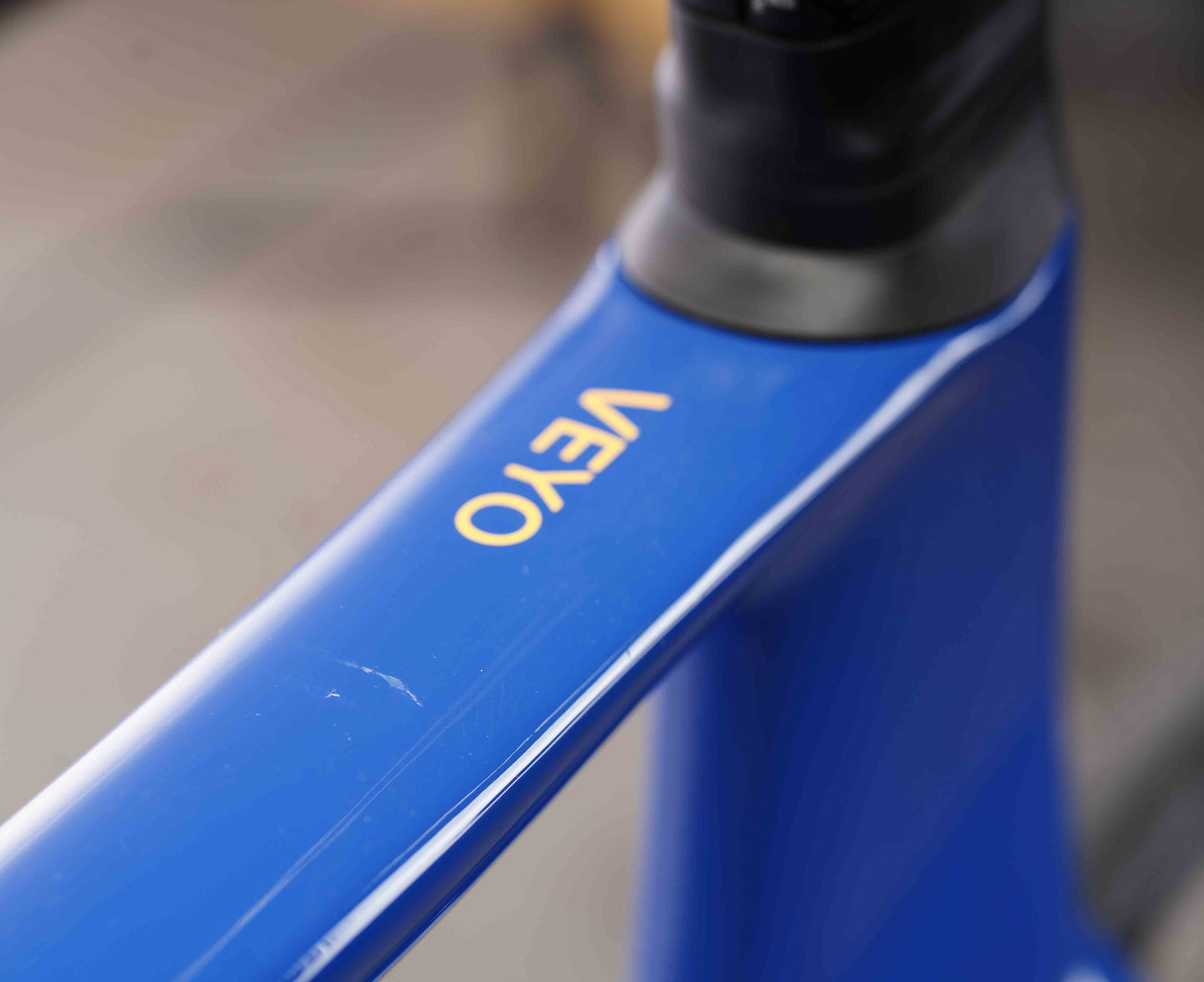 Veyo Pro West Coast Blue (Large) Outlet o1135