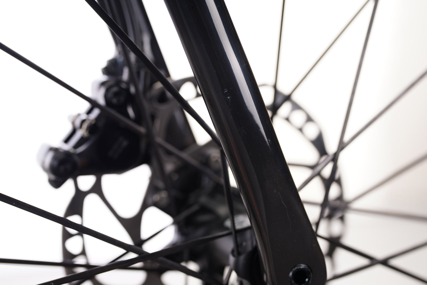 Suncrest Comp Raw Carbon Silver (Medium) Outlet o1119